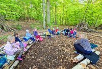 Waldprojekt im Kindergarten Bild: Waldprojekt im Kindergarten