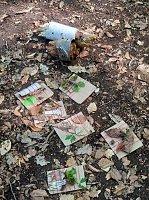 Waldprojekt im Kindergarten Bild: Waldprojekt im Kindergarten