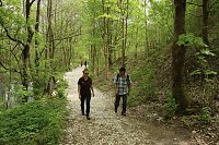 Auf dem Feuersalamanderpfad Bild: Auf dem Feuersalamanderpfad