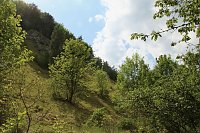 Auf dem Feuersalamanderpfad Bild: Auf dem Feuersalamanderpfad