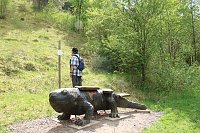 Auf dem Feuersalamanderpfad Bild: Auf dem Feuersalamanderpfad