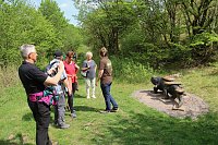Auf dem Feuersalamanderpfad Bild: Auf dem Feuersalamanderpfad