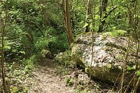 Auf dem Feuersalamanderpfad Bild: Auf dem Feuersalamanderpfad