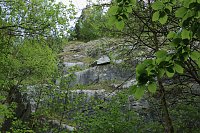 Auf dem Feuersalamanderpfad Bild: Auf dem Feuersalamanderpfad