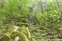 Auf dem Feuersalamanderpfad Bild: Auf dem Feuersalamanderpfad