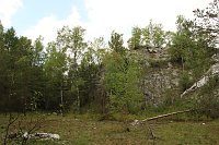 Auf dem Feuersalamanderpfad Bild: Auf dem Feuersalamanderpfad