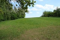 Auf dem Feuersalamanderpfad Bild: Auf dem Feuersalamanderpfad