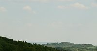 Auf dem Feuersalamanderpfad Bild: Auf dem Feuersalamanderpfad