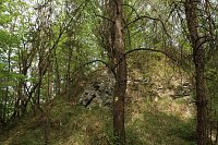 Auf dem Feuersalamanderpfad Bild: Auf dem Feuersalamanderpfad