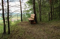 Auf dem Feuersalamanderpfad Bild: Auf dem Feuersalamanderpfad