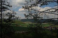 Auf dem Feuersalamanderpfad Bild: Auf dem Feuersalamanderpfad