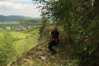 Auf dem Feuersalamanderpfad Bild: Auf dem Feuersalamanderpfad