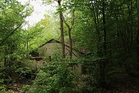 Auf dem Feuersalamanderpfad Bild: Auf dem Feuersalamanderpfad