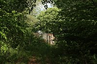 Auf dem Feuersalamanderpfad Bild: Auf dem Feuersalamanderpfad