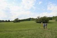 Auf dem Feuersalamanderpfad Bild: Auf dem Feuersalamanderpfad