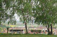 Auf dem Feuersalamanderpfad Bild: Auf dem Feuersalamanderpfad
