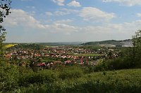 Auf dem Feuersalamanderpfad Bild: Auf dem Feuersalamanderpfad