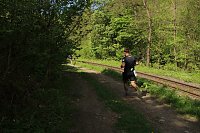 Bild: 8. Harztorlauf gestartet