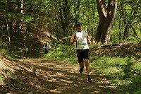 Bild: 8. Harztorlauf gestartet
