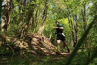 Bild: 8. Harztorlauf gestartet