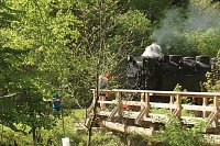 Bild: 8. Harztorlauf gestartet