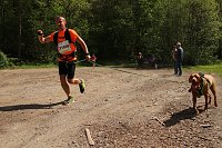 Bild: 8. Harztorlauf gestartet