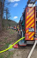 Bild: Waldbrand im Birkenmoor