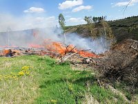 Bild: Waldbrand im Birkenmoor