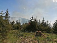 Bild: Waldbrand im Birkenmoor
