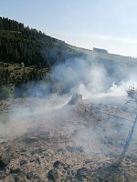 Bild: Waldbrand im Birkenmoor