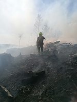Bild: Waldbrand im Birkenmoor