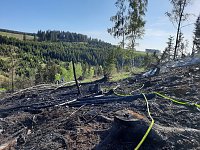 Bild: Waldbrand im Birkenmoor