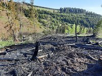 Bild: Waldbrand im Birkenmoor
