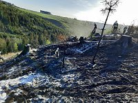 Bild: Waldbrand im Birkenmoor