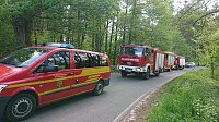 Bild: Waldbrand im Birkenmoor