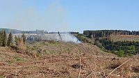 Bild: Waldbrand im Birkenmoor