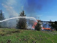 Bild: Waldbrand im Birkenmoor
