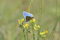 Bild: Tag der biologischen Vielfalt am 22. Mai