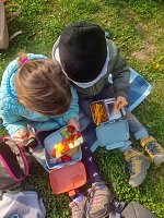 Bild: Projektwochen im Fr&ouml;belkindergarten Domschl&ouml;sschen