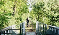 Bild: Tieraufnahmen