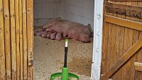 Bild: Landwirtschaft zum Staunen und Anfassen