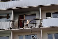 Bild: Wohnungsbrand am Nachmittag