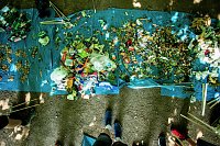 Aufräum-Aktion der Humbolt-Schüler im Stadtpark Bild: Aufräum-Aktion der Humbolt-Schüler im Stadtpark