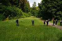 Bild: Christi Himmelfahrt im S&uuml;dharz