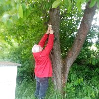 Bild: Beschilderung am Hainleite Rundweg erneuert