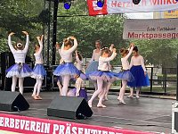 Bild: Die Eleven des Tanzstudios Radeva beim Weinfest am Rathaus 