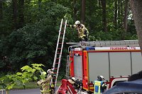 Brand am Park Hohenrode Bild: Brand am Park Hohenrode