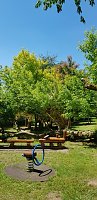 Bild: Versch&ouml;nerungsarbeiten im Ahornpark