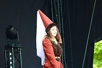 Bild: 19. Sondersh&auml;user Residenzfest auf der Theaterwiese