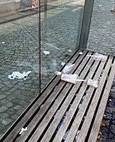 Bild: M&uuml;ll an der Haltestelle Marktplatz